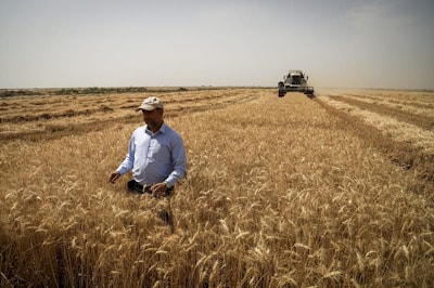 ROSTSELMASH Combine-Harvesters Enhance the Right Vector, Safeguarding the First Harvest in I.R. of  Iran / Комбайны РОСТСЕЛЬМАШ на страже урожая зерновых в Иране