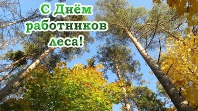 С Днём работников леса!