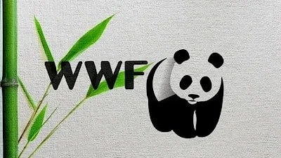 NATURE Matters, Even... for Business!  